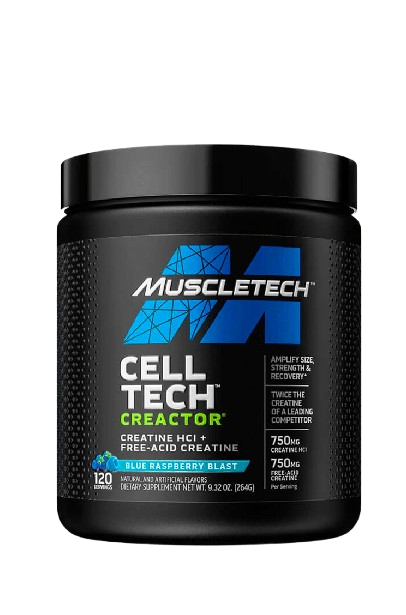 Creatine Hcl Muscletech